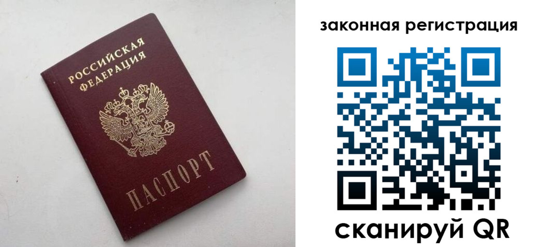 прописка гарантия в Алексеевке